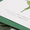 INVITACIONES ISAPAPELES_R-332.webp