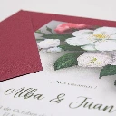 INVITACIONES ISAPAPELES_R-214.webp