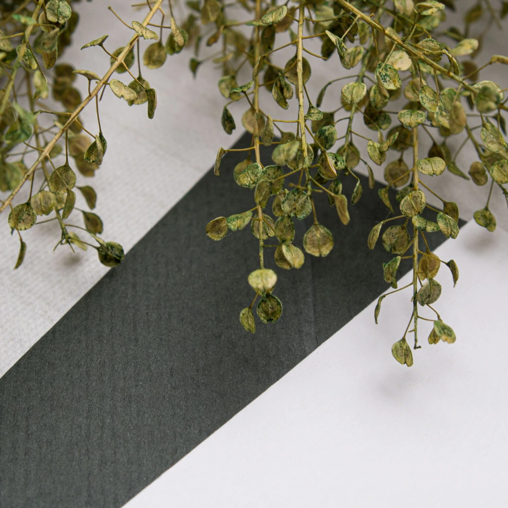 INVITACIONES ISAPAPELES_R-420.webp