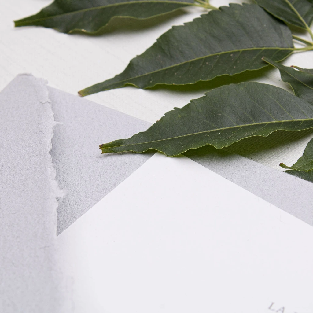 INVITACIONES ISAPAPELES_R-319.webp