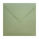 COTTON GREENERY.webp