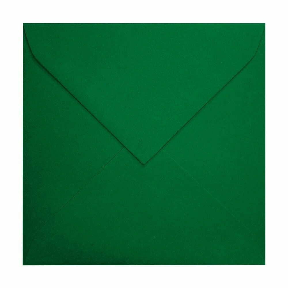 BASIC VERDE HOJA.webp