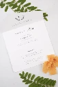 INVITACIONES-DE-BODA219.webp