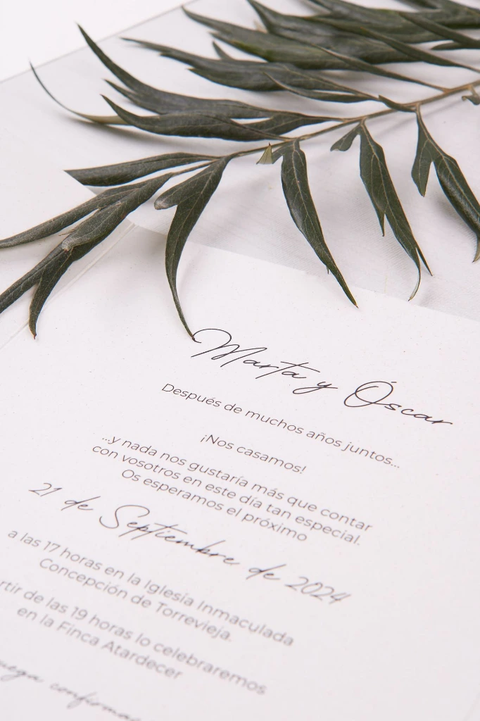 INVITACIONES DE BODA166.webp