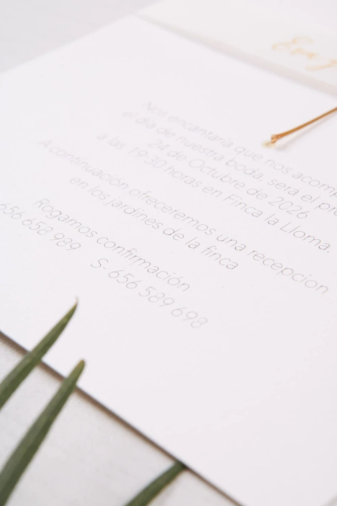 INVITACIONES DE BODA106.webp