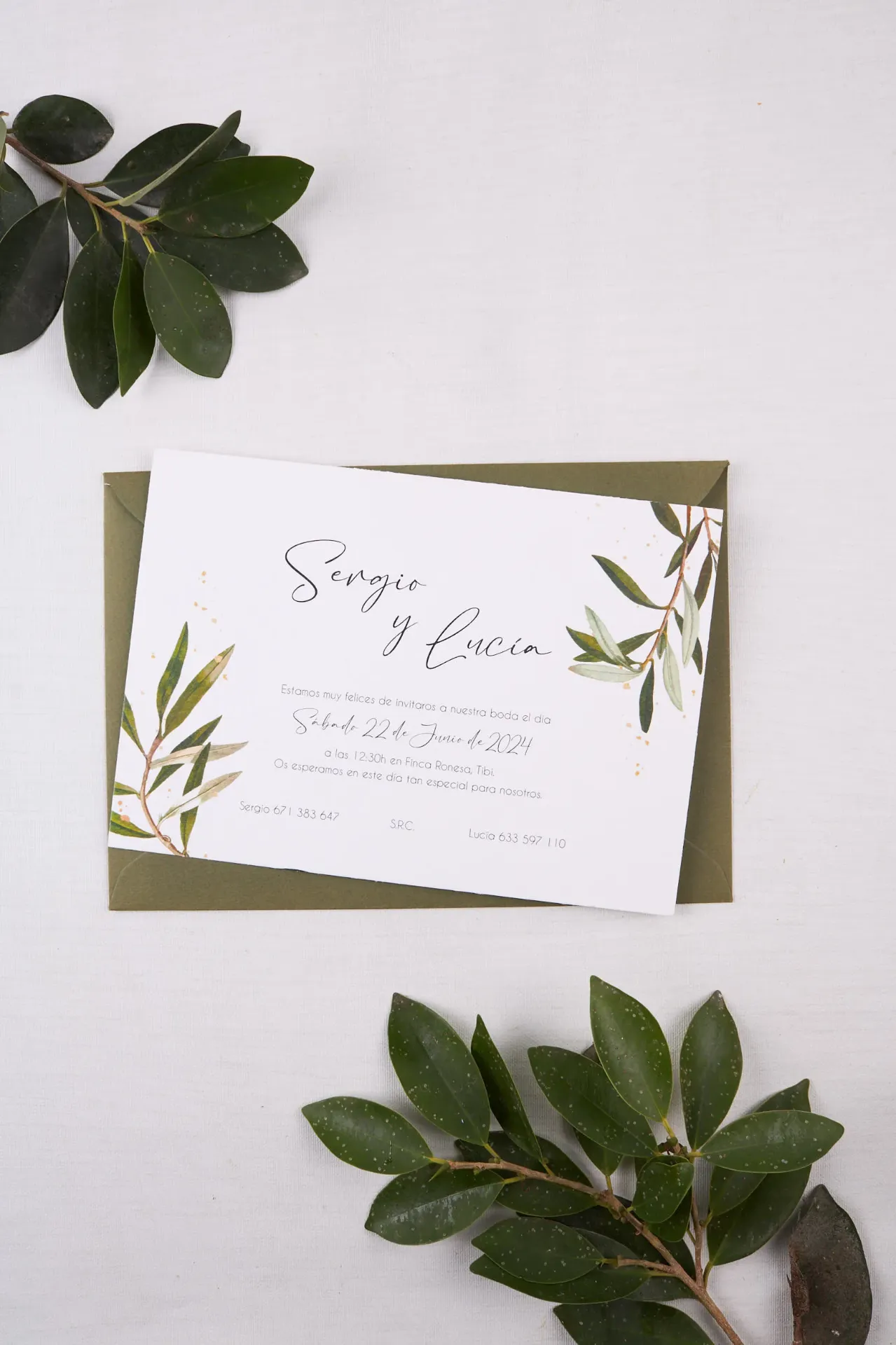 Invitación de boda Olivo 2